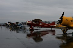 ABB_4363-2